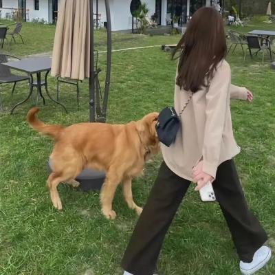 教我春心动